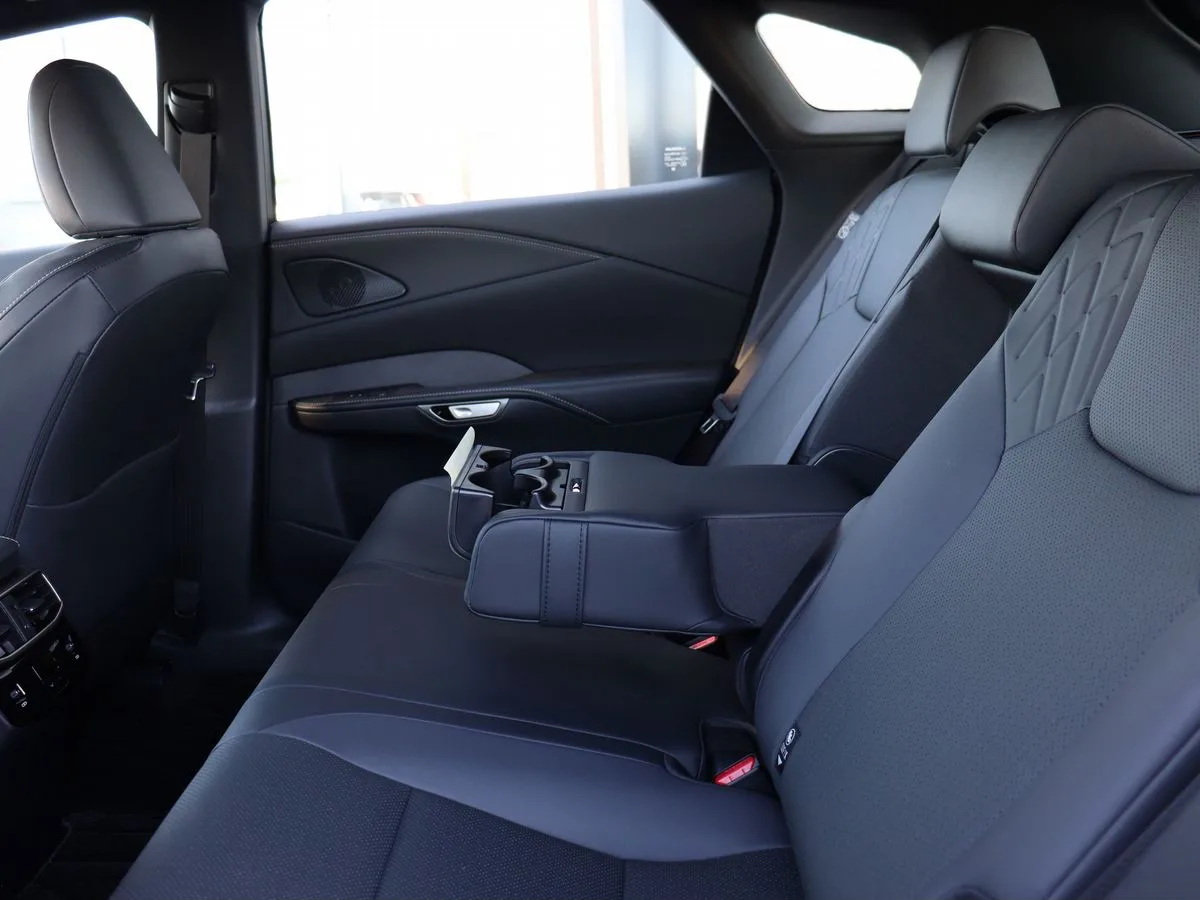 Lexus RX - фото 33
