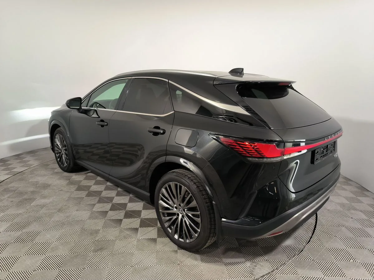 Lexus RX - фото 10