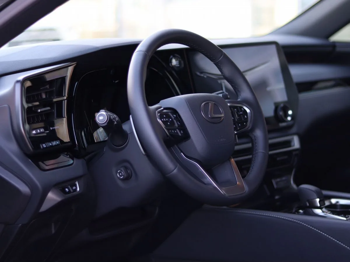 Lexus RX - фото 20