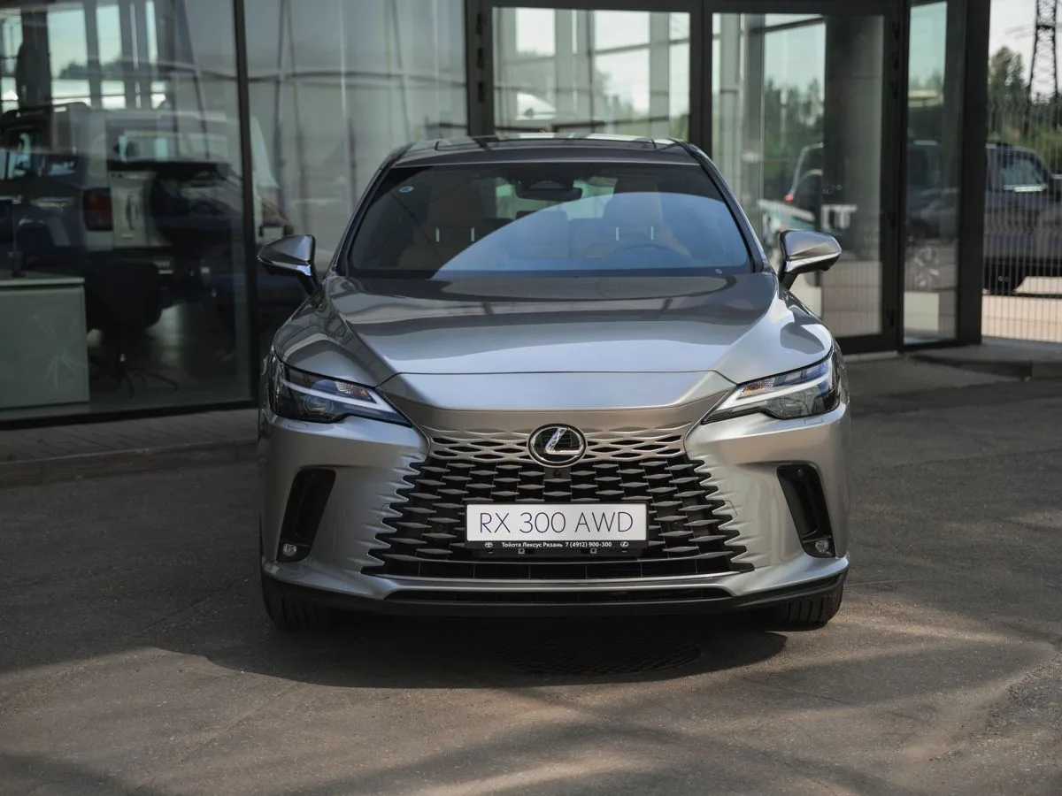 Lexus RX - фото 5