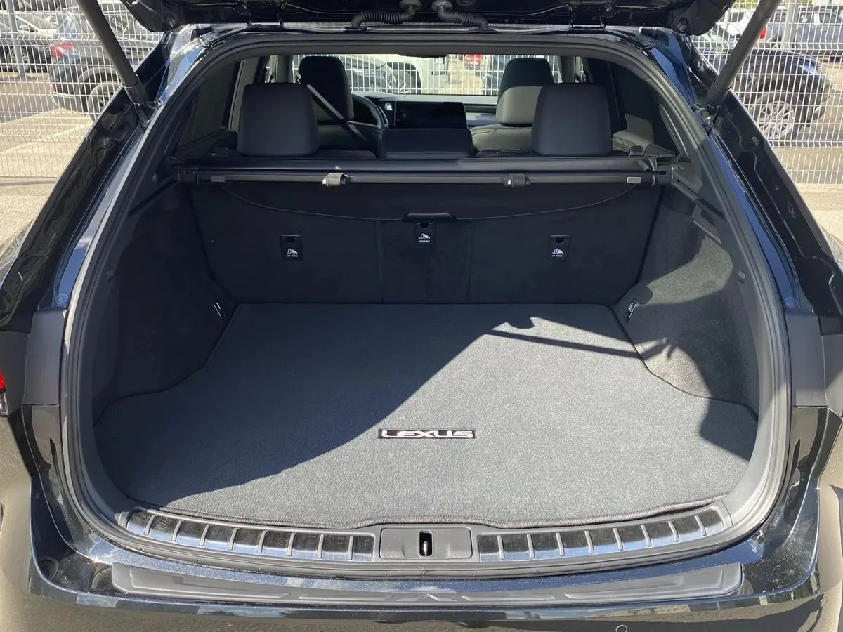 Lexus RX - фото 7